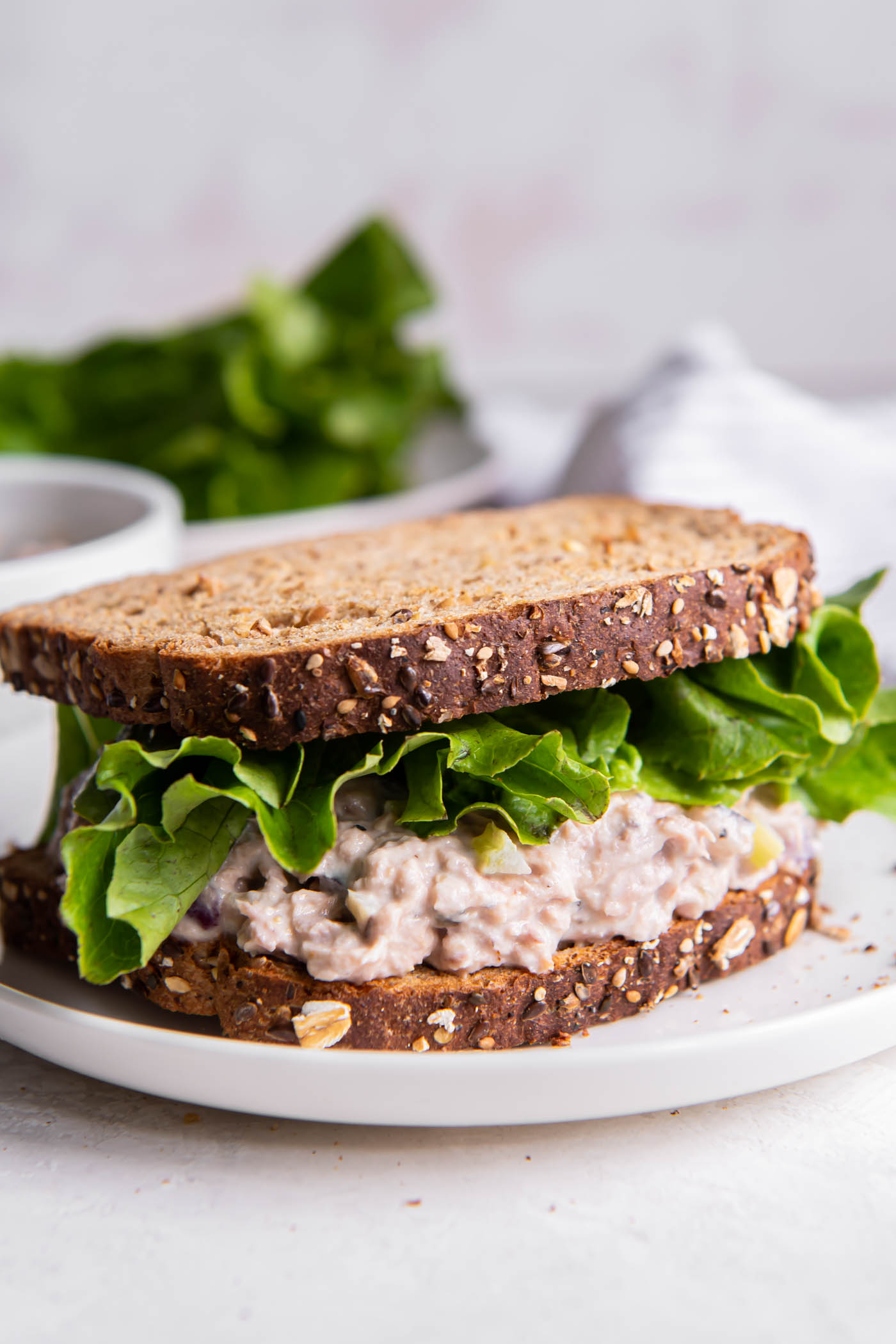 Tuna salad sandwich with lettuce.