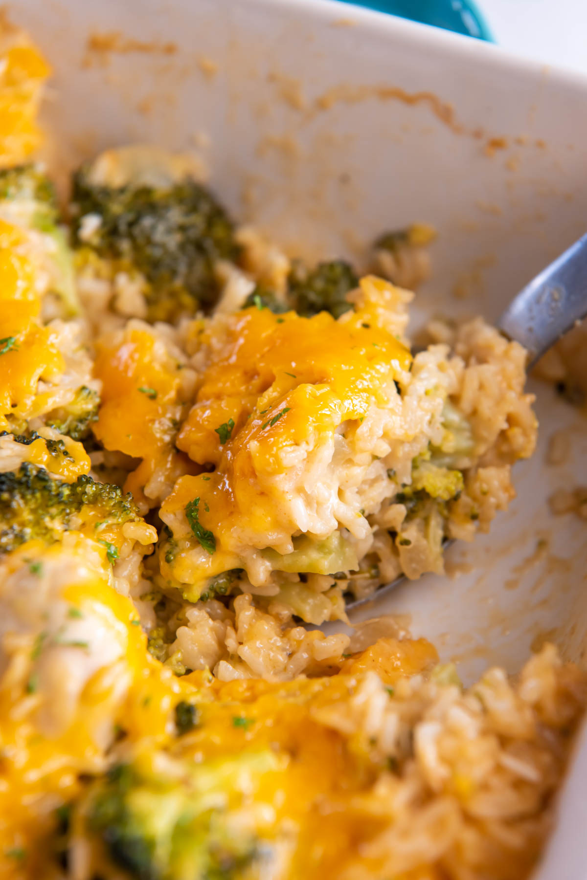 Close up of chicken broccoli rice casserole on serving spoon in baking dish.
