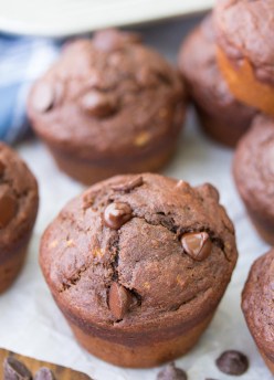 Close up of a chocolate banana muffin with chocolate chips.