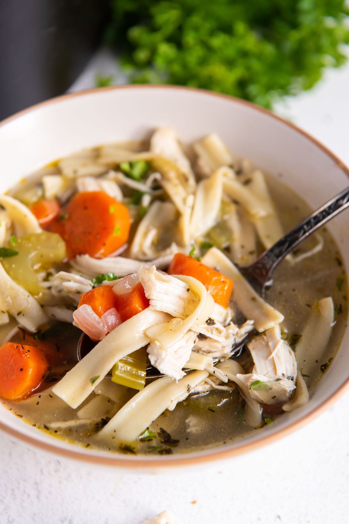 Bowl of homemade chicken noodle soup with a spoonful of soup.