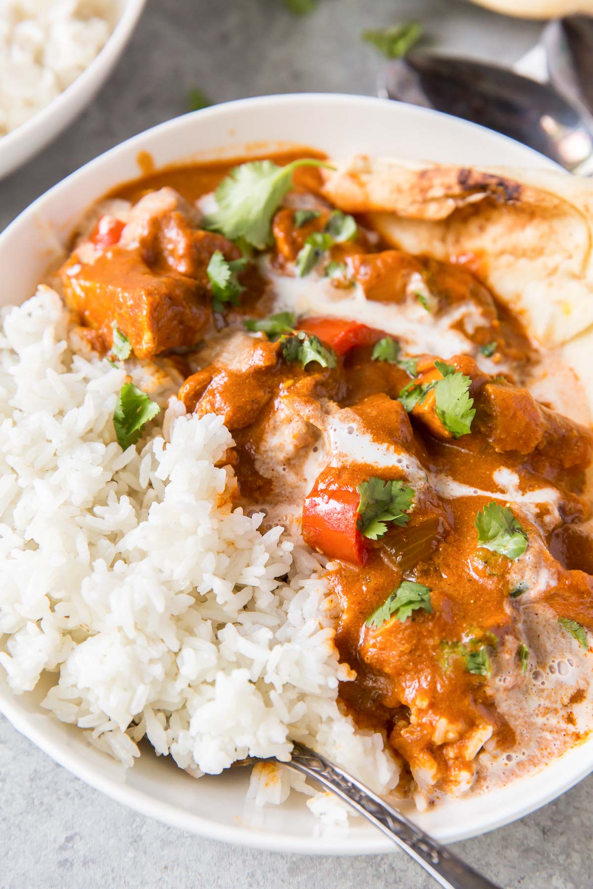 Butter chicken with drizzle of coconut milk, served with rice.
