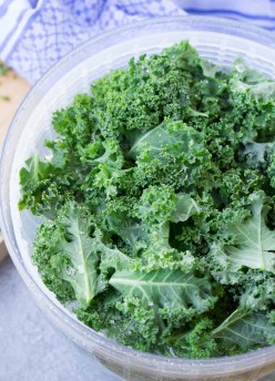 The BEST way to store kale, so that it stays fresh and ready for quick smoothies and salads! Simple tips to make prepping kale as easy as can be! Using this easy method, your kale will stay fresh for up to two weeks!