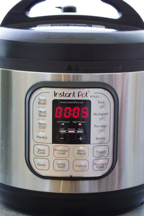 Instant Pot water test steps: Display shows 5 minutes.