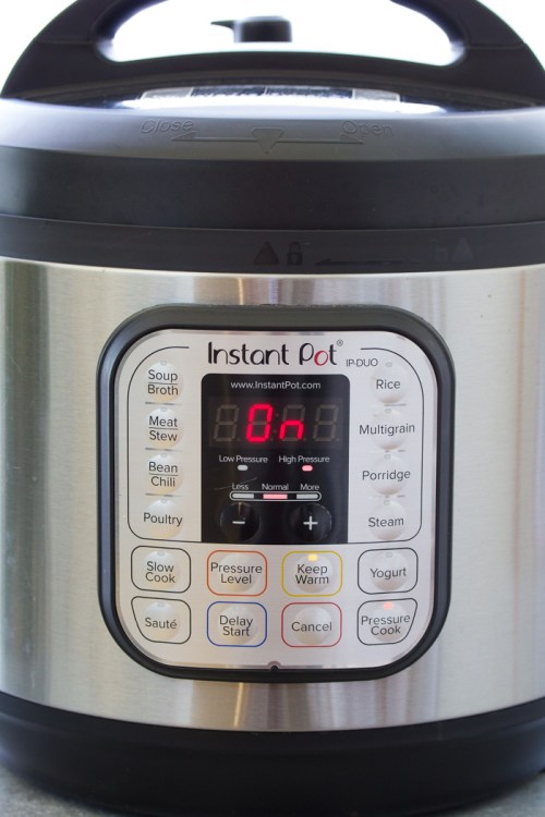 Instant Pot water test steps: Display shows "On."