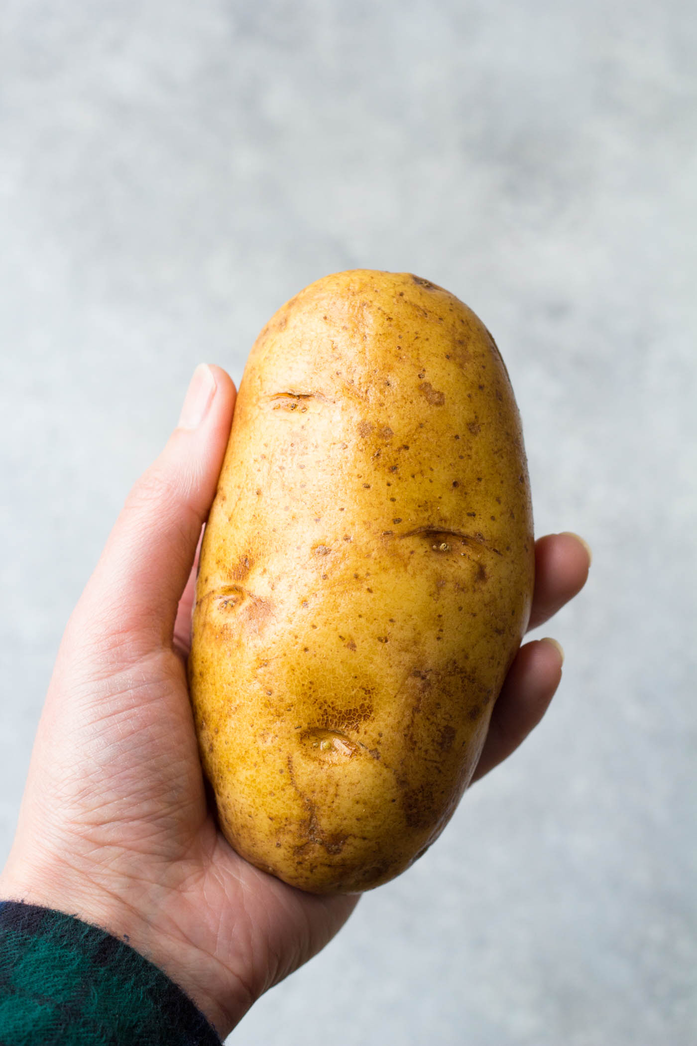 Russet potato held in woman's hand.