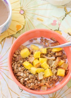 tropical granola in a bowl with milk and mango chunks